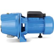 Насос поверхностный центробежный Oasis PN 60/42С, (800Вт, 60л/мин, 42м)